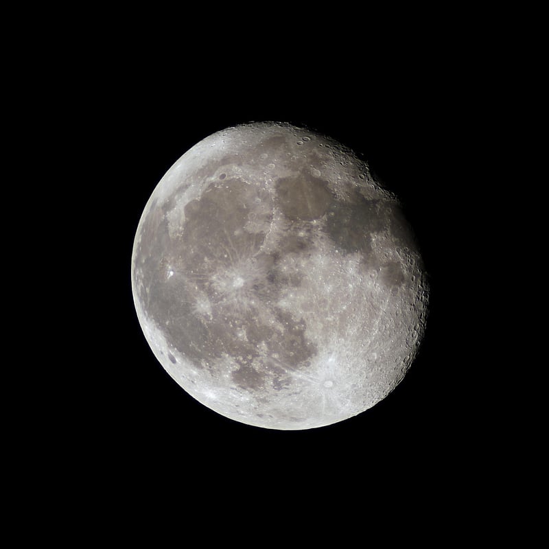 Lunar Celebrations